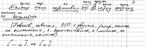 Малыш переживал, но в город козочеу не возьмешь. выполнить синтаксический разбор