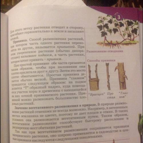 Оцените значение следующих явлений 1 вегетативное размножение в природе 2 прививка для получения рас