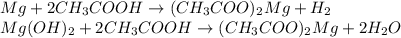 Mg+2CH_3COOH \rightarrow (CH_3COO)_2Mg + H_2 \\ Mg(OH)_2 + 2CH_3COOH \rightarrow (CH_3COO)_2Mg + 2H_2O