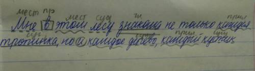 Синтаксический разбор предложения: мне в этом лесу лесу знакома не только каждая тропинка, но и кажд