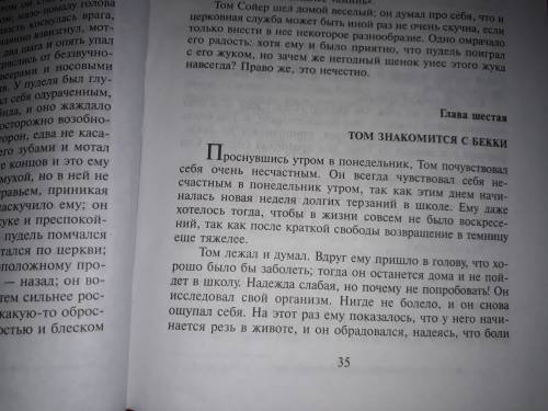 Марк твен,, приключения тома сойера'' главы 6,7,8 найти тему или идею.