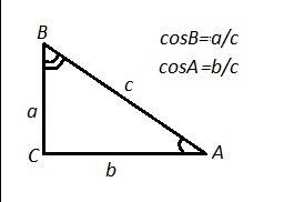 Косинусом острого ула прямоугольного треугольника называют