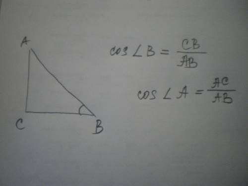 Косинусом острого угла прямоугольного треугольника называют