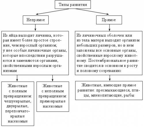 Прямое и непрямое развитие насекомых лабораторная работа если можете скиньте фотку таблицы