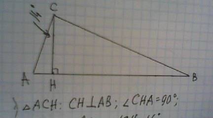 Угол между высотой ch и катетом ca прямоугольного треугольника abc ( угол c=90 градусов.) равен 14 г