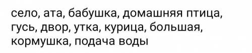 Ауыл, ата, әже, үй құстары, қаз, аула, үйрек, тауық, үлкен, жем шашу, су беру​