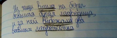 Прочитай текст.ввыпиши сложносочинённые предложения.подчеркни грамматические основы. купание медвежа