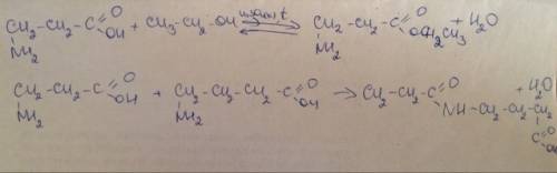 Напишите уравнения и укажите условия протекания реакций: 1) h2n-ch2-ch2-cooh+ch3-ch2-oh= 2) h2n-ch2-