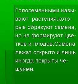 Голосеменные растения и их значение в природе коротко