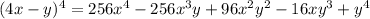 (4x-y) ^{4}=256 x^{4} -256 x^{3} y+ 96 x^{2} y ^{2} -16xy^{3} +y^{4}