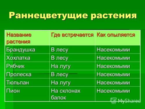 Раннецветущее растение опыляемое насекомым?