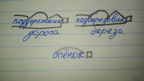 Выпиши слова подорожник, подберёзовик, опенок разобрать его по составу и определить образования слов