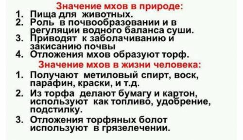 Какое значение имеют мхи в природе и в жизни человека?