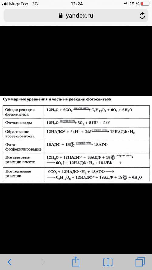 Основные реакции обмена веществ в процессе фотосинтеза