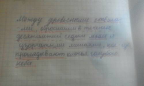 Между древесными стволами, обросшими в течение десятилетий седым мхом и узорчатыми лишаями, кое-где