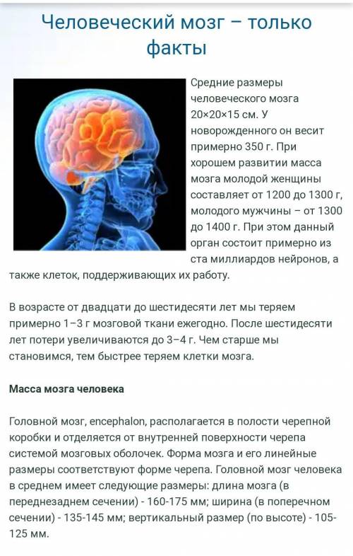 Объём мозга современных людей​