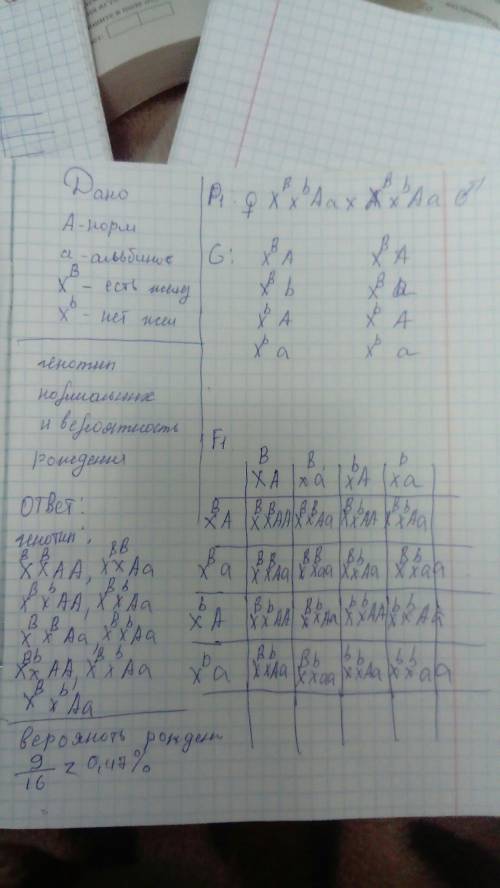 Решение и оформление у человека альбинизм обусловлен аутосомным рецессивным геном. отсутствие потовы