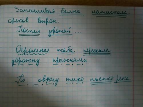 1.выделить основу предложения. запасливая белка натаскала орехов впрок. поспел урожай на яблонях и г