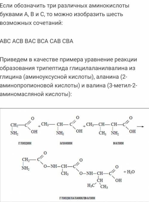 Сколько различных трипептидов можно построить из двух молекул аминокислот