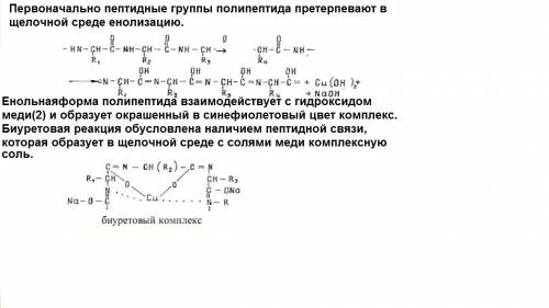 Напишите () реакции, объясняющее биуретовой реакции с пептидом гли-три-про-мет-ала-тир. 50 !