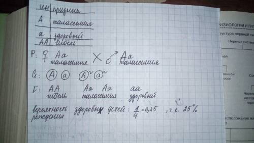Талассемия - аутосомно-доминантный признак. гетерозиготная женщина вступает в брак с больным талассе