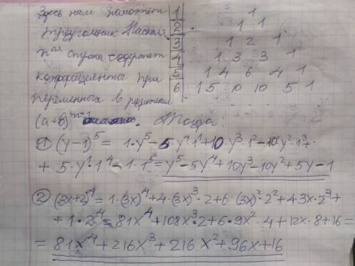 Записать разложение бинома : (y-1)^5 (3x+2)^4