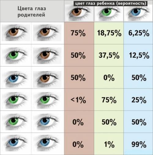 Учеловека цвет карих глаз доминирует над геном обусловливающим голубые глаза. кареглазый мужчина у к
