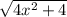 \sqrt{4x^{2}+4 }