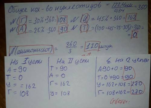 Известно, что фрагмент кодирующей цепи гена бактерии содержит 30% гуаниловых, 25% адениловых, 45% ци