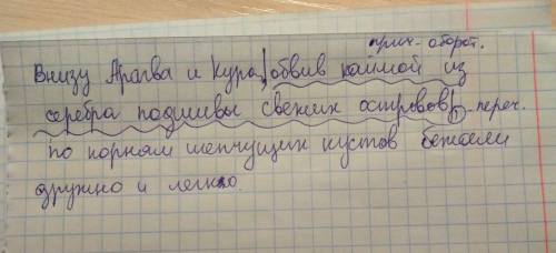 Сделайте пунктуационный разбор предложения. внизу арагва и кура, обвив каймой из серебра подошвы све