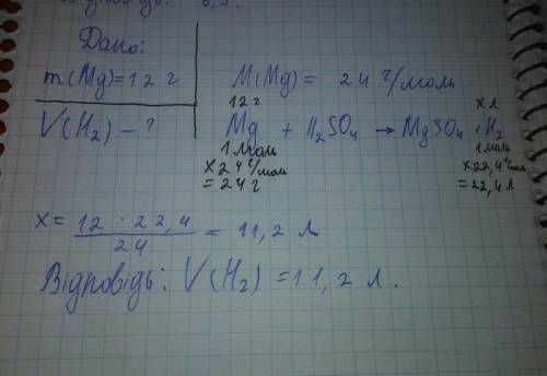 Обчисліть об’єм водню що виділиться при взаємодії магнію масою 12 г з сульфатною кислотою
