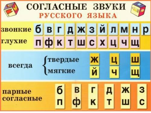 На какие пары делятся согласные звуки?