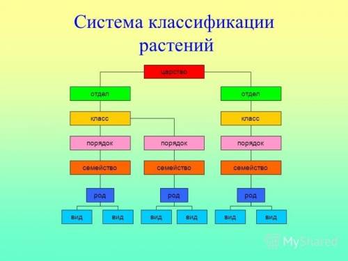 Предложите возможные варианты классификации растений, используя текст §1,2 учебник и. н. пономарёва.