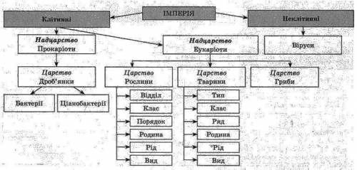 Визначення таксономічного положення в системі органічного світу