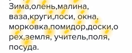 Вданных словах поставить ударение. зима,олень,малина, ваза,круги,лоси, окна, морковка,помидор,доски,