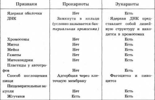 Сделать постер на тему эукариоты и прокареоты .