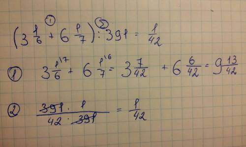 Найди значение выражения: (3 1/6+6 1/7)÷391