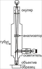 Допишите название деталей микроскопа через которые луч света проходит да глаз наблюдателя
