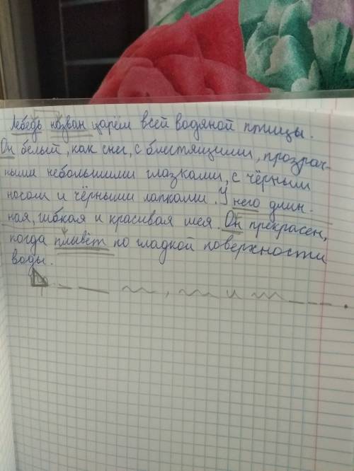 Лебедь назван царем всей водяной птицы. он белый, как снег, с блестящими, прозрачными небольшими гла