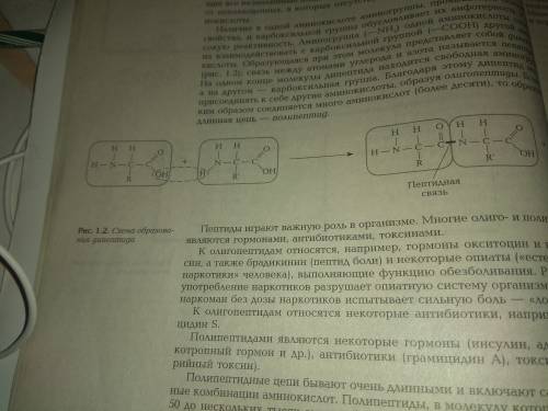 Функции всех соединений (биология)