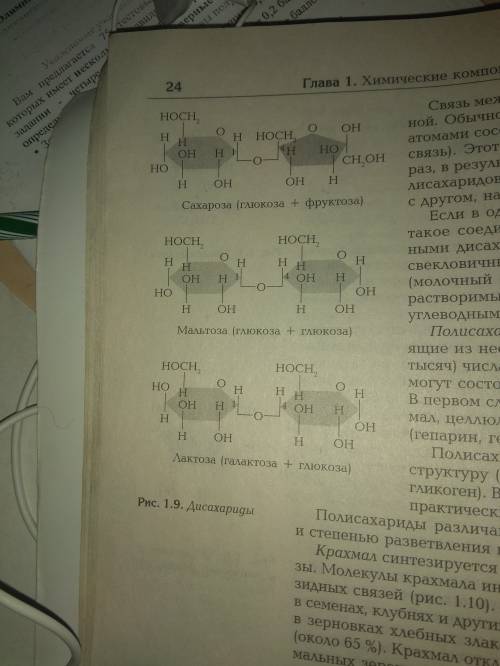 Функции всех соединений (биология)