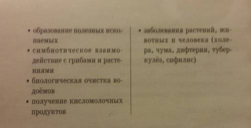 Роль грибов и бактерий в жизни человека сообщение.