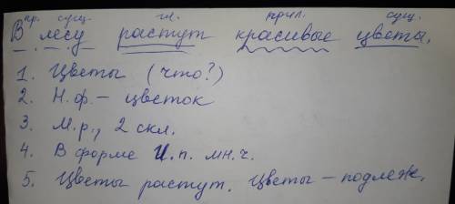 Влесу растут красивые цветы подчеркнуть каждую часть речи и разобрать имя существительное по такой ф