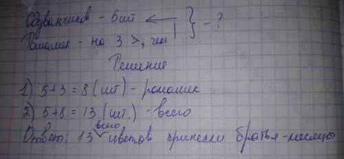 Май и июнь принесли январю 5 одуванчиков,а ромашек на 3 больше. сколько всего цветов принесли братья