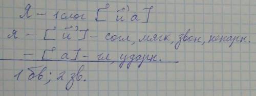 Слово я сделайте звуко-буквеный разбор слова!