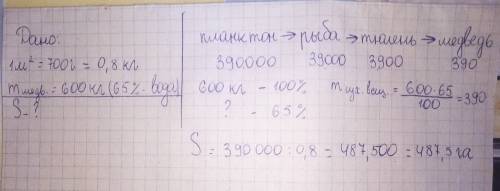 Биомасса планктона составляет 700г/м2 площади моря. используя правилом экологической пирамиды,опреде