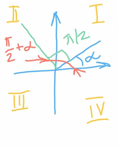 Вкакой четверти заканчивается угол π / 2 + α, если α - острый угол? *