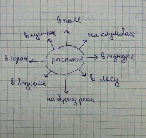 Укажи стрелками , где растут растения