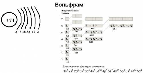 Дайте характеристику элемента по периодической системе элемента № 74 и 35