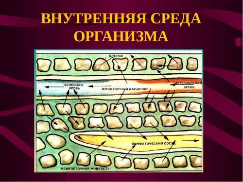 Обьясните почему три основные жидкие среды организма связаны междуисабой